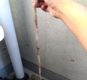 巨大なドレンスライムがエアコン内部に詰まり水漏れした