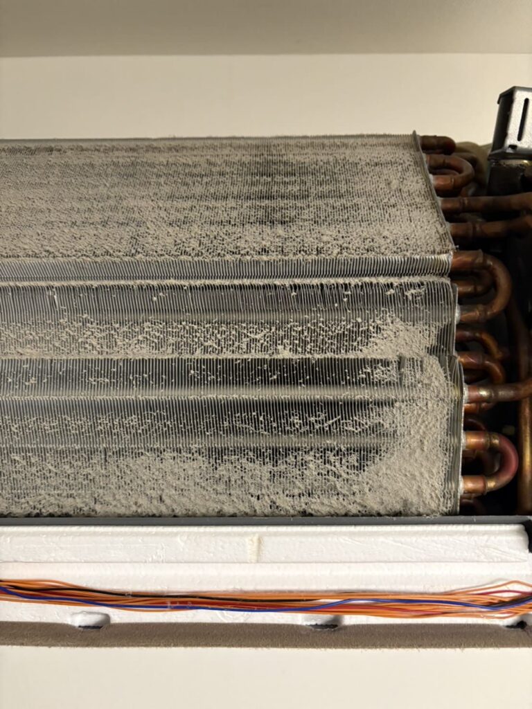 熱交換器にホコリとカビが付着する