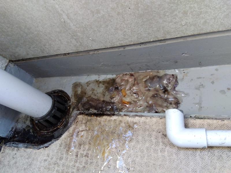 巨大化したドレンスライム